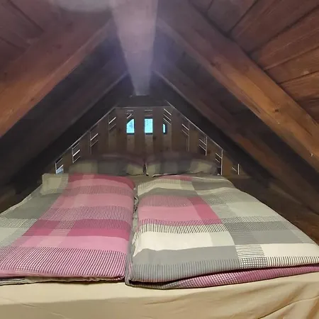 Glamping Fikfak *